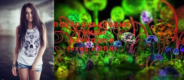 MDMA Каменногорск