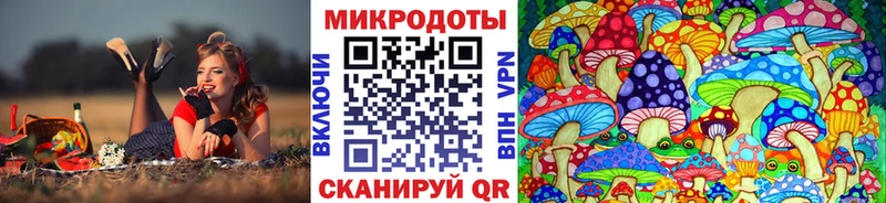 blacksprut рабочий сайт  Йошкар-Ола  Галлюциногенные грибы Psilocybe 